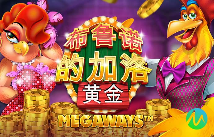 今年会app下载
